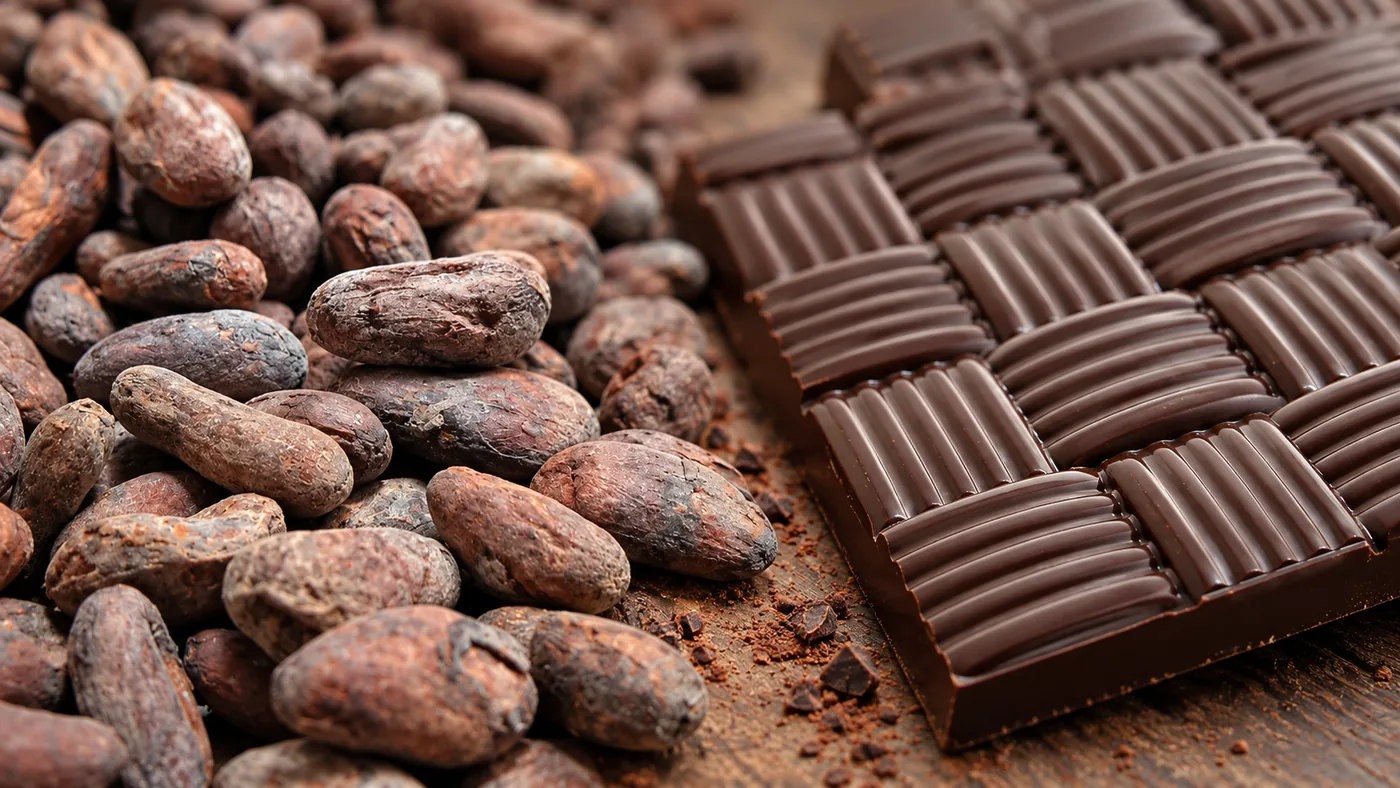 Chocolat bean-to-bar : quelle différence avec un chocolat artisanal classique ?